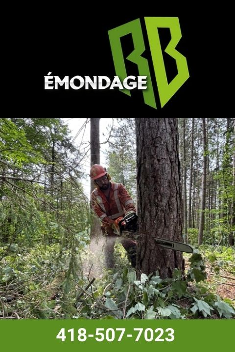 entreprise spécialisée en arboriculture a la tuque droite