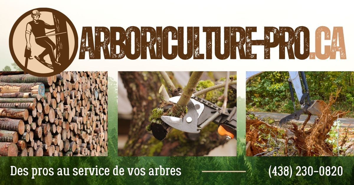 Entreprise Spécialisée en Arboriculture dans Chaudière-Appalaches