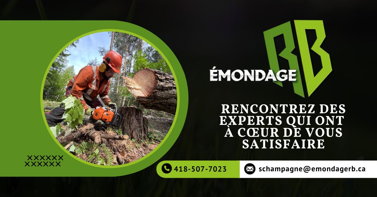 Entreprise Spécialisée en Arboriculture en Mauricie