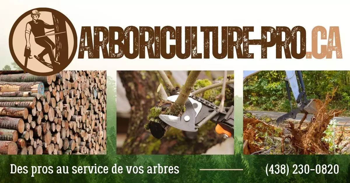 Entreprise Spécialisée en Arboriculture à Granby
