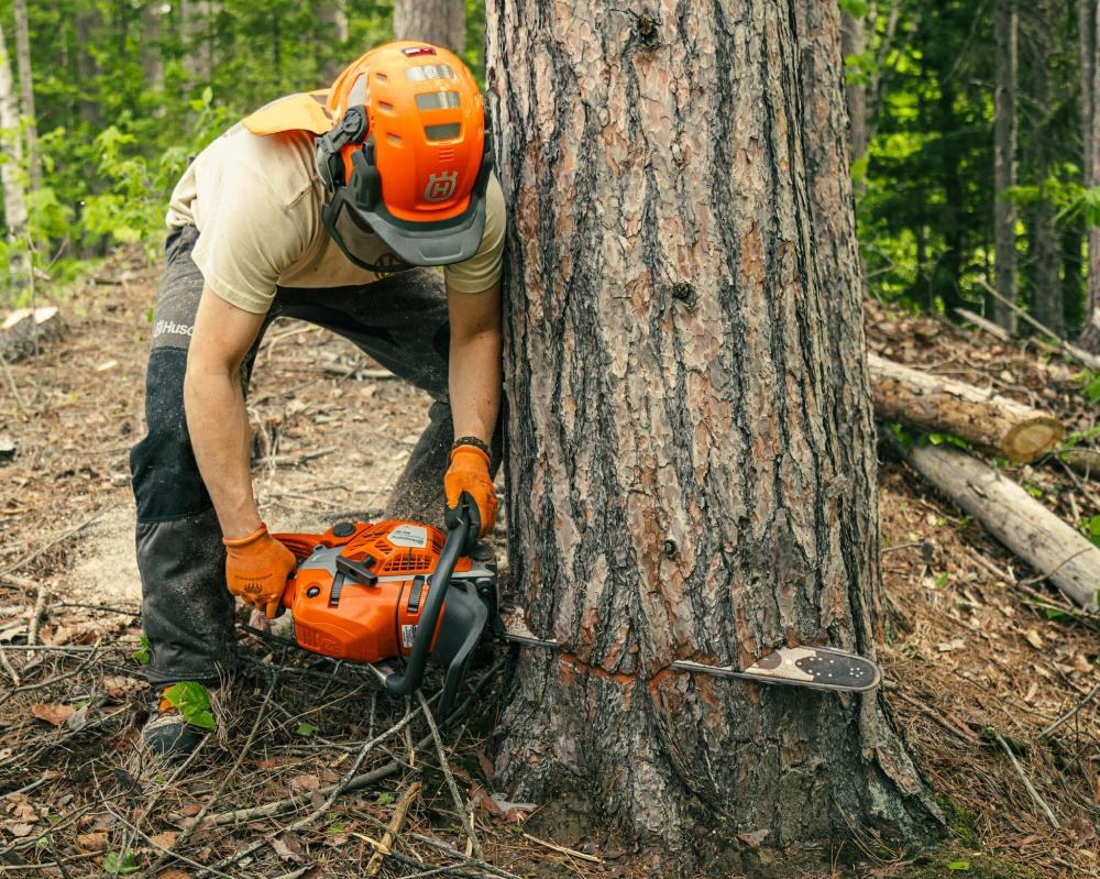Arboriculture (1)