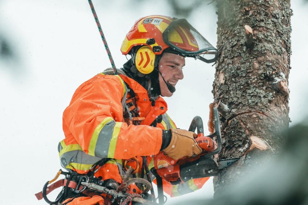 Arboriculture (10)