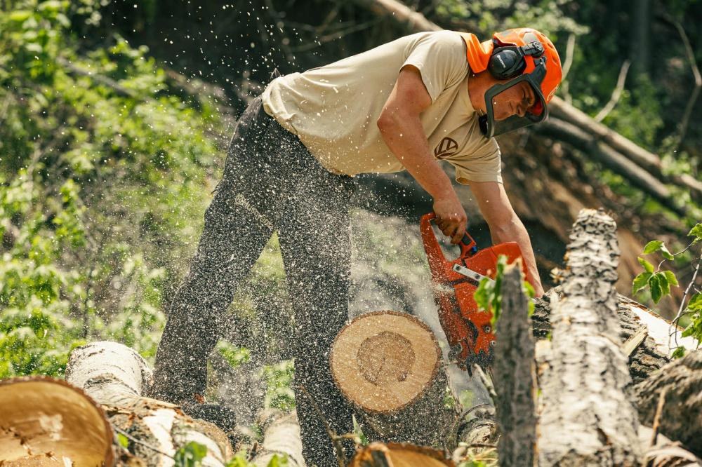Arboriculture (12)