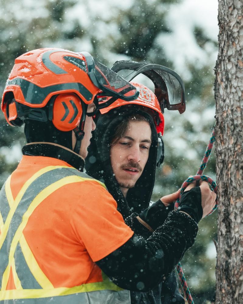 Arboriculture (8)